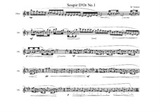 Piece for Oboe solo No.6, MVWV 872: Piece for Oboe solo No.6 by Maurice Verheul