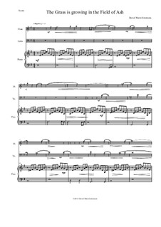 The grass is growing: For flute, cello and piano by Дэвид Соломонс