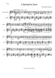 A Springtime Jaunt: Для кларнета и гитары by Дэвид Соломонс