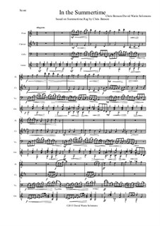 In the summertime: For flute, clarinet, cello and guitar by Дэвид Соломонс, Chris Benson