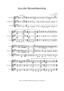 Mer hahn en neue Oberkeet, BWV 212: Trio für Violinen oder andere Melodieinstrumente, Op.01032 by Иоганн Себастьян Бах