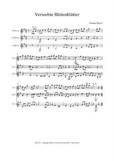 Verwehte petals - Trio for Violin, C.PiqueDame - medium, Op.01049: Verwehte petals - Trio for Violin, C.PiqueDame - medium by Carmen Hoyer