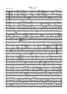 Polka 3 - 15: Polka 3 - 15 by Friedrich Gross