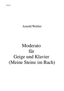 Moderato für Geige und Klavier (Meine Steine im Bach): Moderato für Geige und Klavier (Meine Steine im Bach) by Arnold Wohler