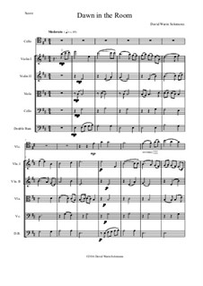 Dawn in the Room: For cello and strings by Дэвид Соломонс