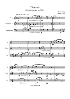 Thin Air (for flute, trumpet and cello): Thin Air (for flute, trumpet and cello) by Jordan Grigg