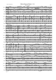 Kleiner Konzert-Walzer 1-16: Kleiner Konzert-Walzer 1-16 by Friedrich Gross