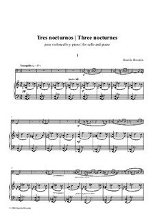 3 nocturnes: 3 nocturnes by Karolis Biveinis