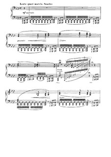 No.14 фа минор, для фортепиано, S.244: Для одного исполнителя by Франц Лист