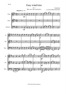 15 easy pieces for wind trio (flute, oboe, bassoon): No.7 Blow away the morning dew by folklore