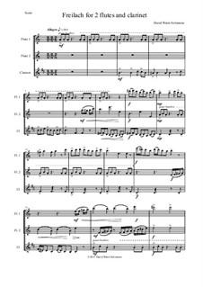 Freilach (Fraylach): For 2 flutes and clarinet by Дэвид Соломонс