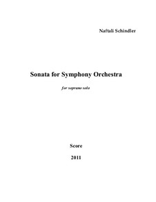 Sonata for Symphony Orchestra: Sonata for Symphony Orchestra by Naftali Schindler