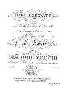 Три серенады для альта и струнных, Op.3: Серенада No.3 by Джакомо Зукки
