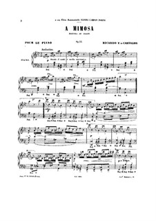 Мимоза, Op.33: Мимоза by Рикардо Феррейра Де Карвальо