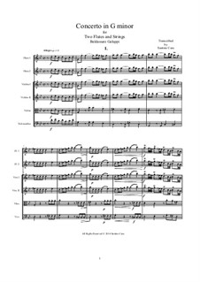 Concerto for Two Flutes and Strings in G Minor: Score, parts by Бальдассаре Галуппи