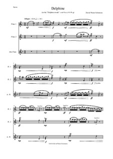 Delphine: For flute trio (canon a 3) by Дэвид Соломонс