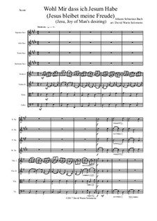 Jesus bleibet: For saxophone quartet and strings by Иоганн Себастьян Бах
