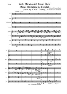 Jesus bleibet: For wind quartet and strings by Иоганн Себастьян Бах