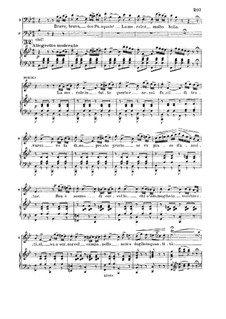 Дон Паскуале: La morale in tutto questo. Rondo for soprano by Гаэтано Доницетти