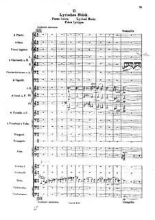 Die Brautwahl (The Bridal Choice), BV 261 Op.45: Лирическая музыка by Ферруччо Бузони