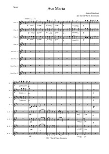 Ave Maria, WAB 6: For flute choir by Антон Брукнер