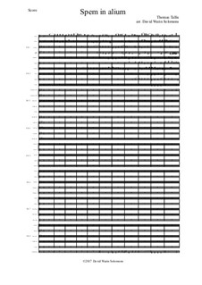 Spem in Alium (40 part motet) arranged for orchestra: Spem in Alium (40 part motet) arranged for orchestra by Томас Таллис