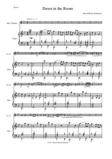 Dawn in the Room: For alto clarinet and piano by Дэвид Соломонс