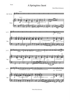 A Springtime Jaunt: For alto clarinet and piano by Дэвид Соломонс