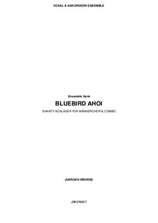 Bluebird Ahoi, JW 210517: Bluebird Ahoi by Juergen Wehrse