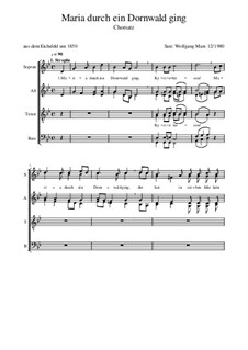 Maria durch ein Dornwald ging: Für Chor by folklore