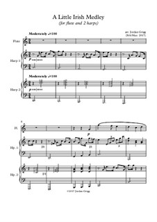 A Little Irish Medley (for flute and 2 harps): A Little Irish Medley (for flute and 2 harps) by Unknown (works before 1850)