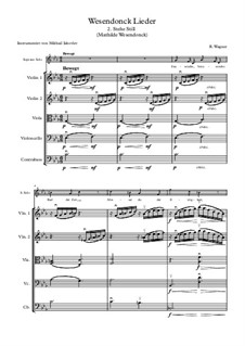 No.2 Стой: For voice and string quintet by Рихард Вагнер