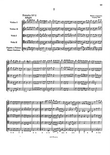 Musika Vespertina Lipsica. Five Suiten: Musika Vespertina Lipsica. Five Suiten by Иоганн Кристоф Пецель