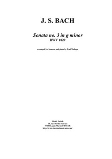 Соната для виолы да гамба и клавесина No.3 соль минор, BWV 1029: Arrangement for bassoon and piano by Иоганн Себастьян Бах