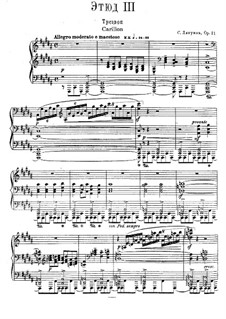 Двенадцать трансцендентных этюдов, Op.11:  No.3 Трезвон by Сергей Ляпунов
