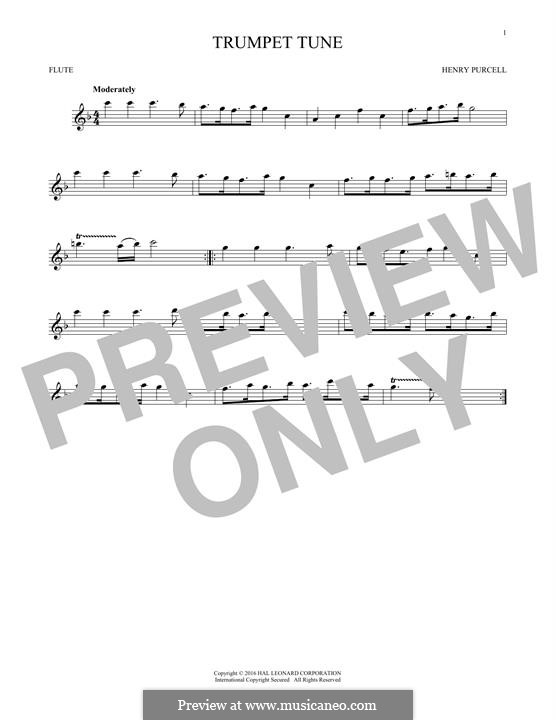 Martial Air (Trumpet tune and Air): Для флейты by Генри Пёрсел
