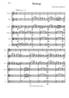 Waiting - for piccolo, flute and string quartet: Waiting - for piccolo, flute and string quartet by Дэвид Соломонс