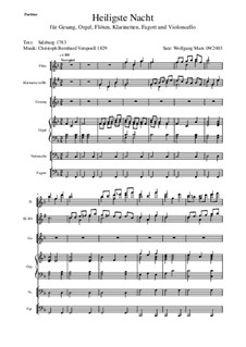 Heiligste Nacht: Stimme und Instrumenten by Кристоф Бернхард Фершпель