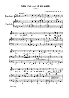 Семь песен, Op.95: Nr.7 Schön war, das ich dir weihte by Иоганнес Брамс