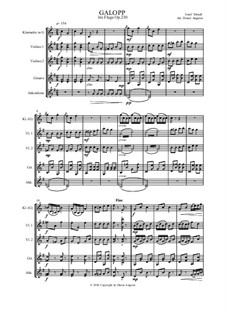 Polka Schnell 'Im Fluge', Op.230: Polka Schnell 'Im Fluge' by Йозеф Штраус