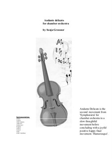 Symphonieta for chamber orchestra: Movement II 'Andante Delicato' by Sonja Grossner