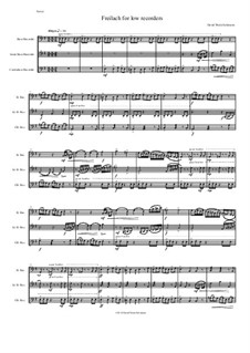 Freilach (Fraylach): For low recorders - bass, great bass and contrabass by Дэвид Соломонс