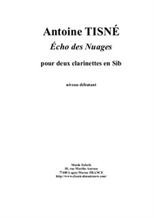 Echo des Nuages for two Bb clarinets: Echo des Nuages for two Bb clarinets by Antoine Tisné