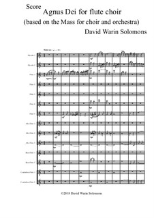 Agnus Dei for flute choir: Agnus Dei for flute choir by Дэвид Соломонс