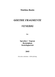 Goethe Fragmente: Goethe Fragmente by Matthias Bonitz