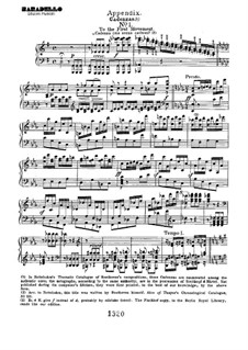 Каденции: To movements I, III by Людвиг ван Бетховен