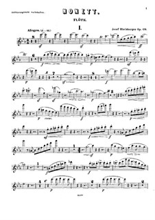 Нонет ми-бемоль мажор, Op.139: Партия флейты by Йозеф Габриэль Райнбергер