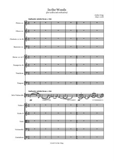 In the Woods (for cello and orchestra): In the Woods (for cello and orchestra) by Jordan Grigg