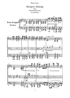 No.2 Предчувствие воина: Для фортепиано, S.560 No.14 by Франц Шуберт