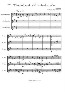 15 easy trios for recorder trio (soprano, alto, tenor): Drunken Sailor by folklore